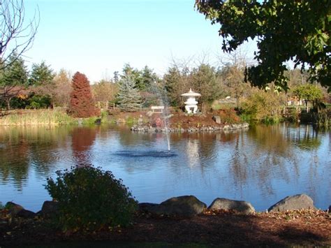 carrie blake park sequim|sequim wa terrace garden.